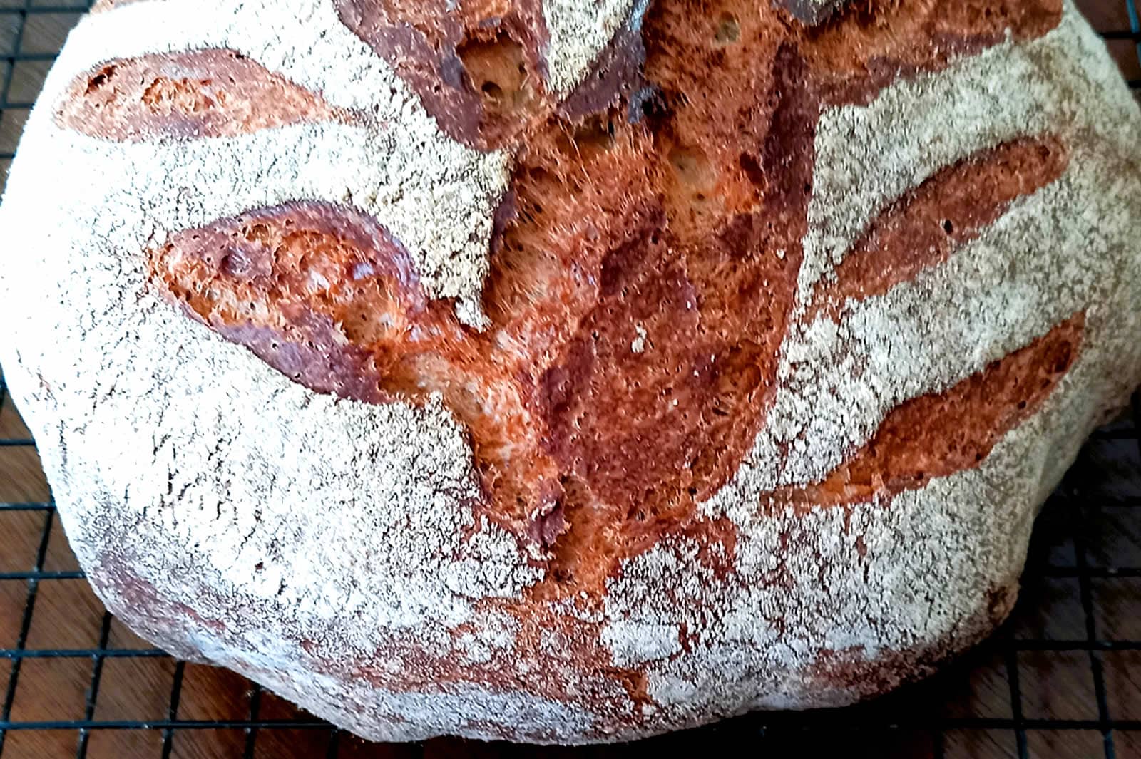 Bran_Bread French White made from wheat flour in Cummin
