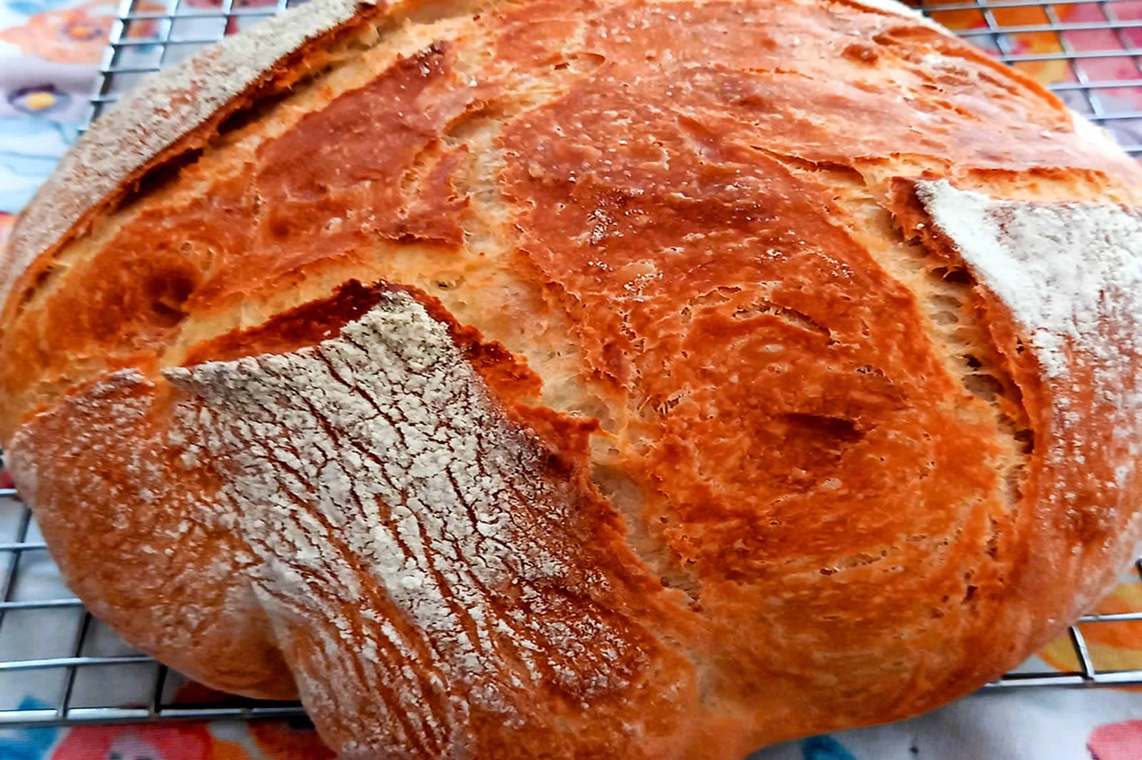Greek_Country_Bread French White made from wheat flour in Cummin