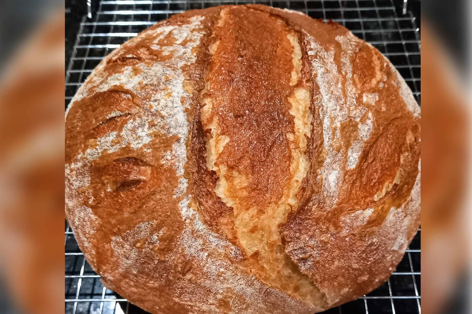Old_Country_Bread French White made from wheat flour in Cummin