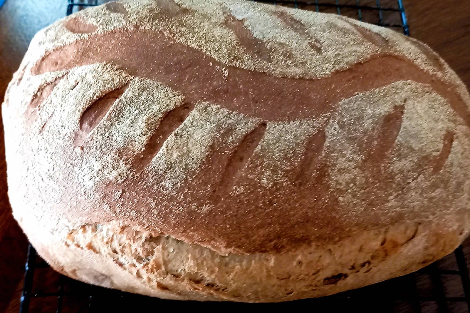 Rye_Bread French White made from wheat flour in Cummin