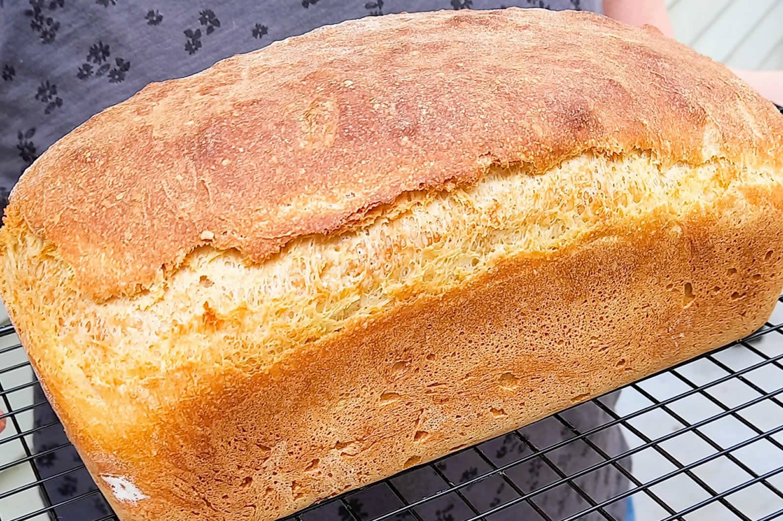 White_Sandwich_Bread French White made from wheat flour in Cummin